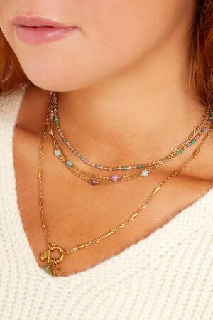 Double chained stainless steel necklace with stones Gold h5 Picture3